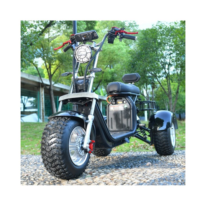 Elektrinis triratis čioperis motoroleris citycoco MX-4000w 